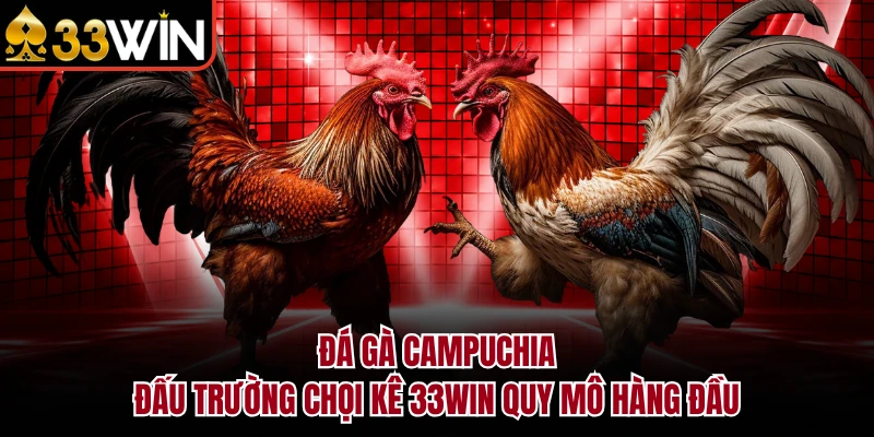 Đá Gà Campuchia - Đấu Trường Chọi Kê 33WIN Quy Mô Hàng Đầu