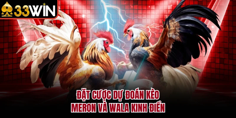 Đặt cược dự đoán kèo Meron và Wala kinh điển