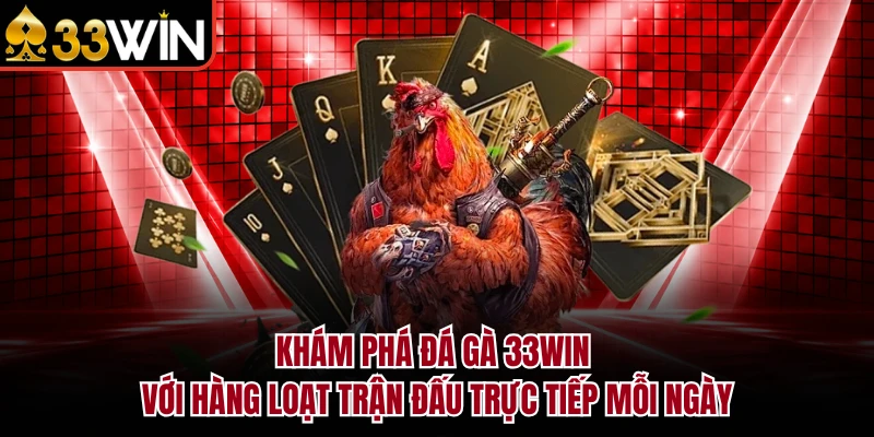 Khám phá đá gà 33Win với hàng loạt trận đấu trực tiếp mỗi ngày