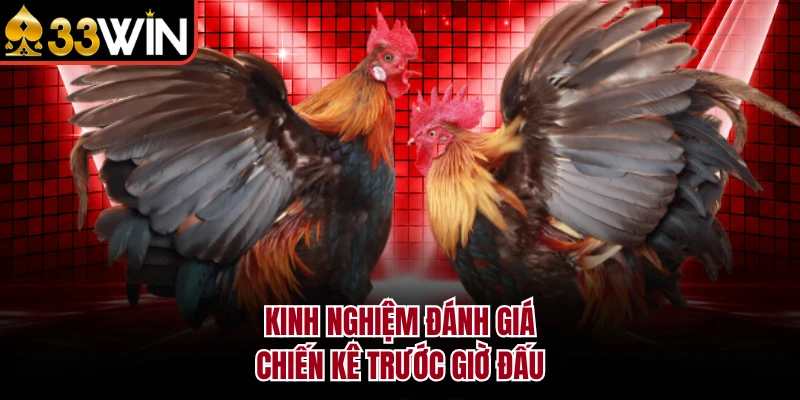 Kinh nghiệm đánh giá chiến kê trước giờ đấu