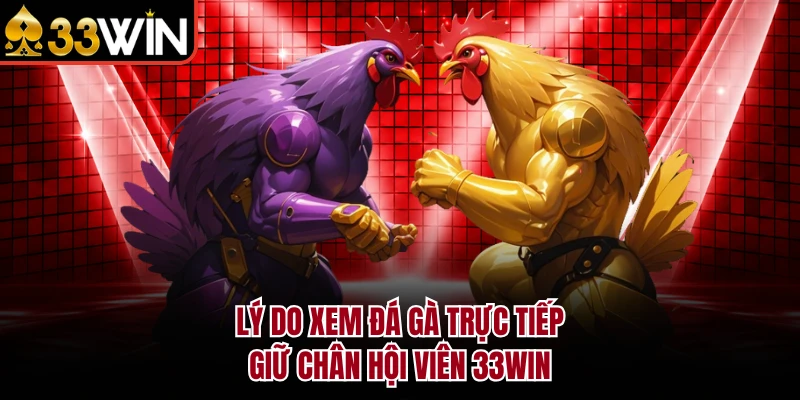 Lý do xem đá gà trực tiếp giữ chân hội viên 33WIN