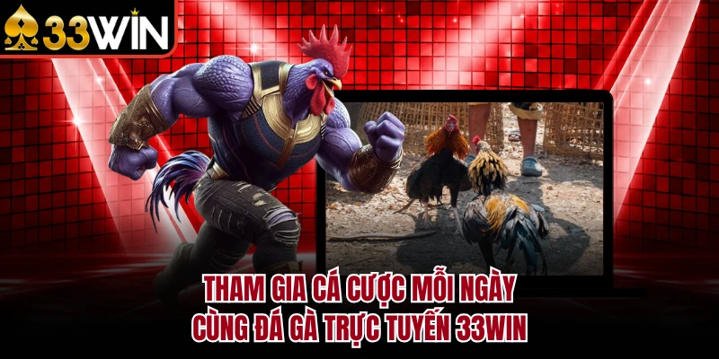Tham gia cá cược mỗi ngày cùng đá gà trực tuyến 33WIN