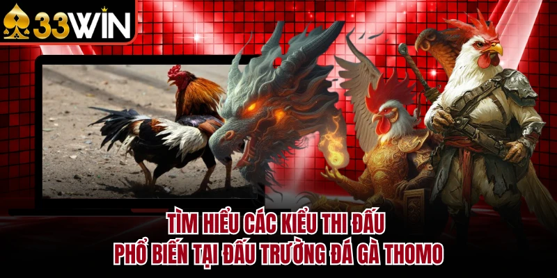 Tìm hiểu các kiểu thi đấu phổ biến tại đấu trường đá gà Thomo