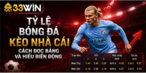 Tỷ lệ bóng đá kèo nhà cái – Cách đọc bảng và hiểu biến động