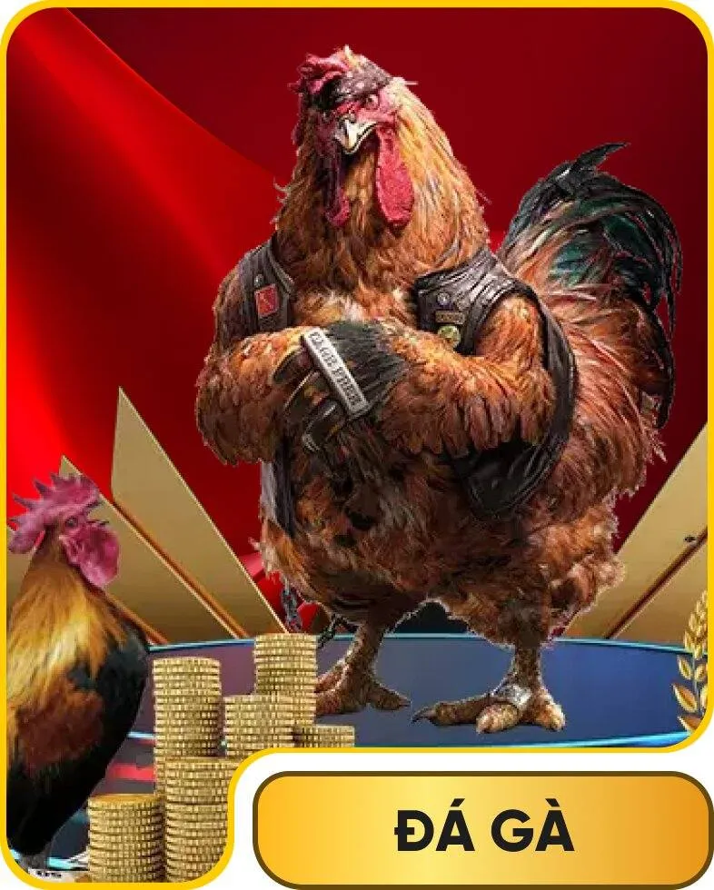 Đá gà 33win